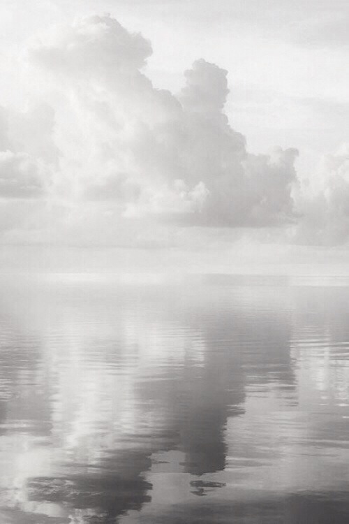 Archillect ID 27241