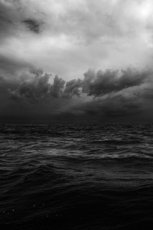 Archillect ID 27248