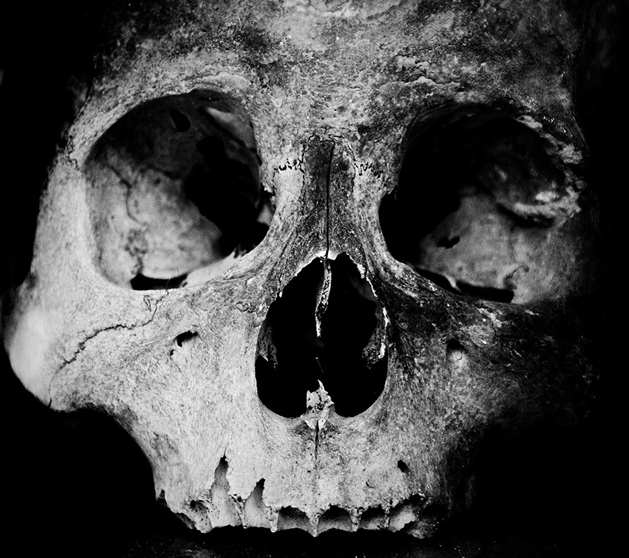 Archillect ID 27730