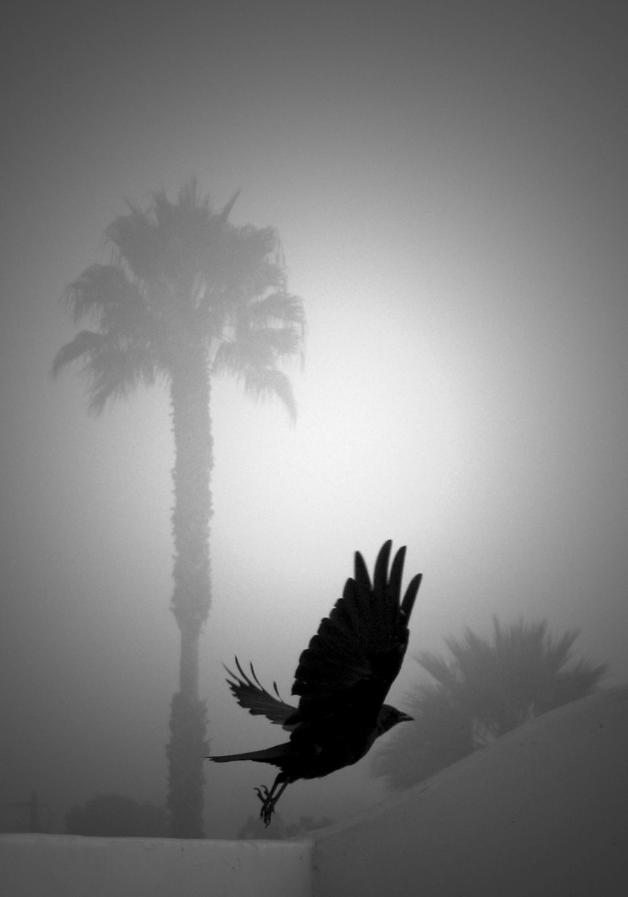 Archillect ID 27829