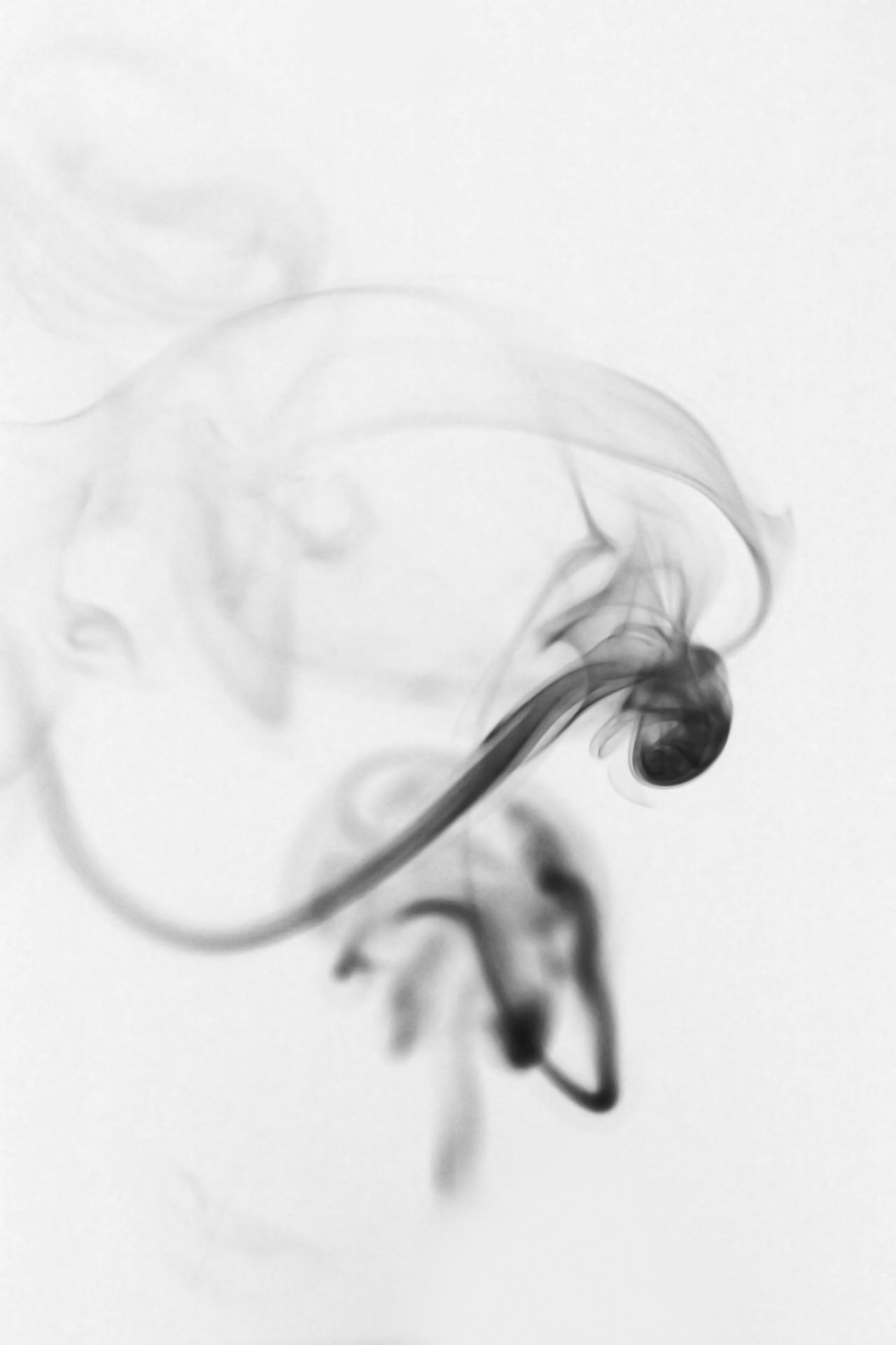 Archillect ID 27851