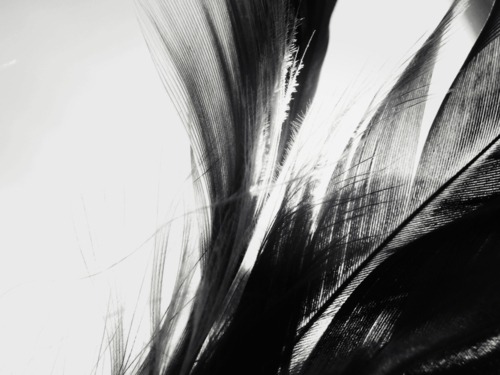Archillect ID 27883