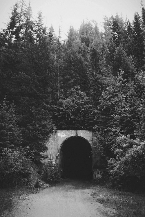Archillect ID 28003