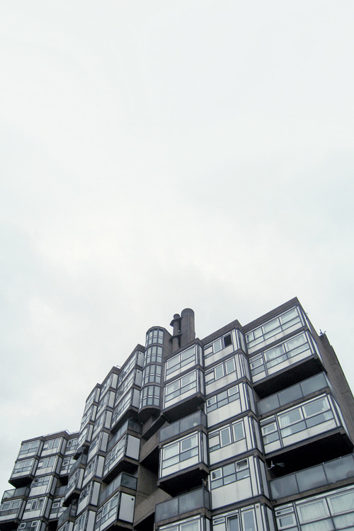 Archillect ID 28068