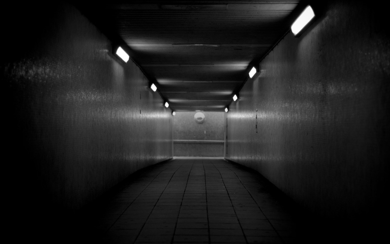 Archillect ID 28098