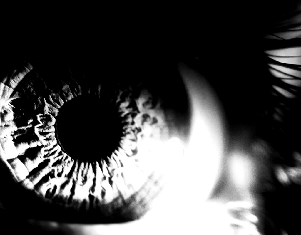 Archillect ID 28143