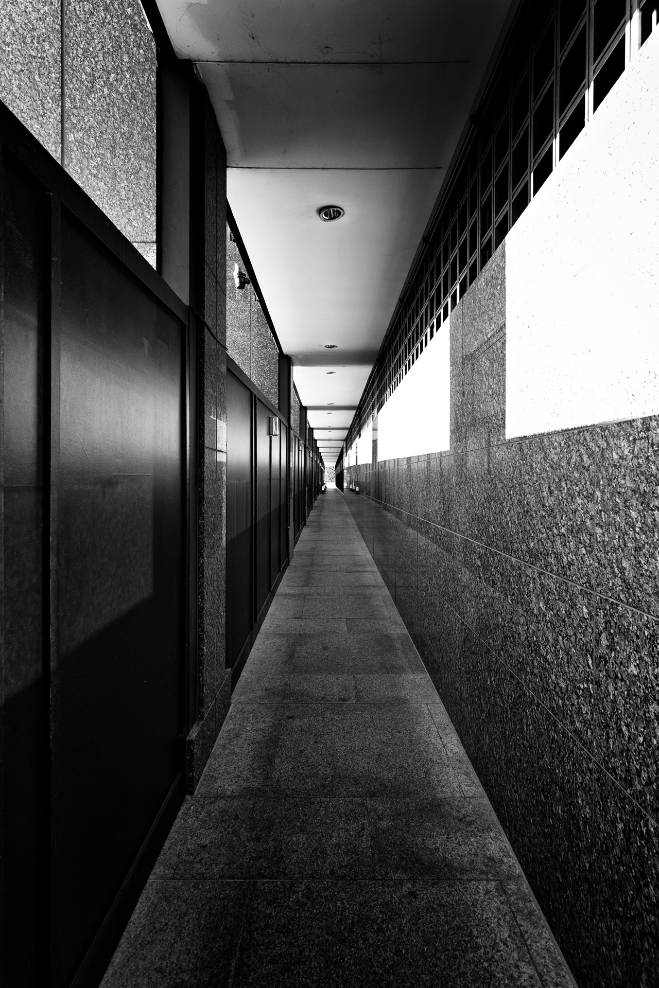 Archillect ID 28171