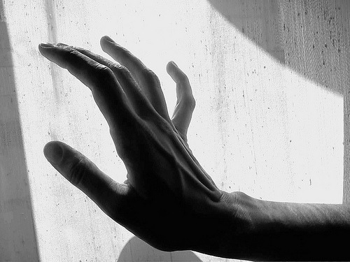 Archillect ID 28205