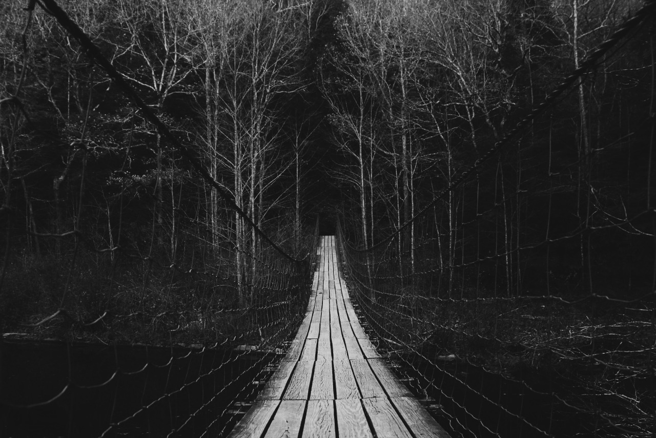 Archillect ID 28240