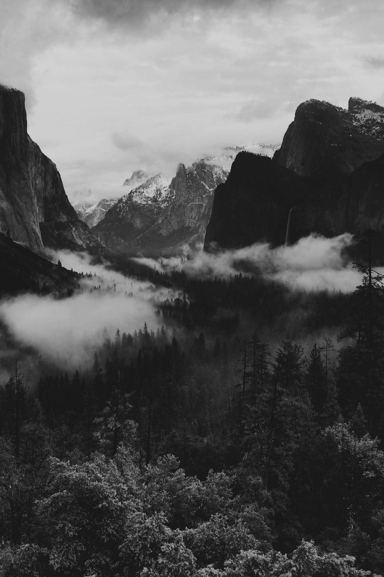 Archillect ID 28258