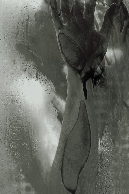 Archillect ID 28293
