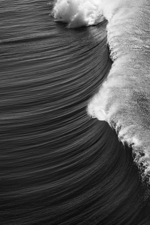 Archillect ID 28426