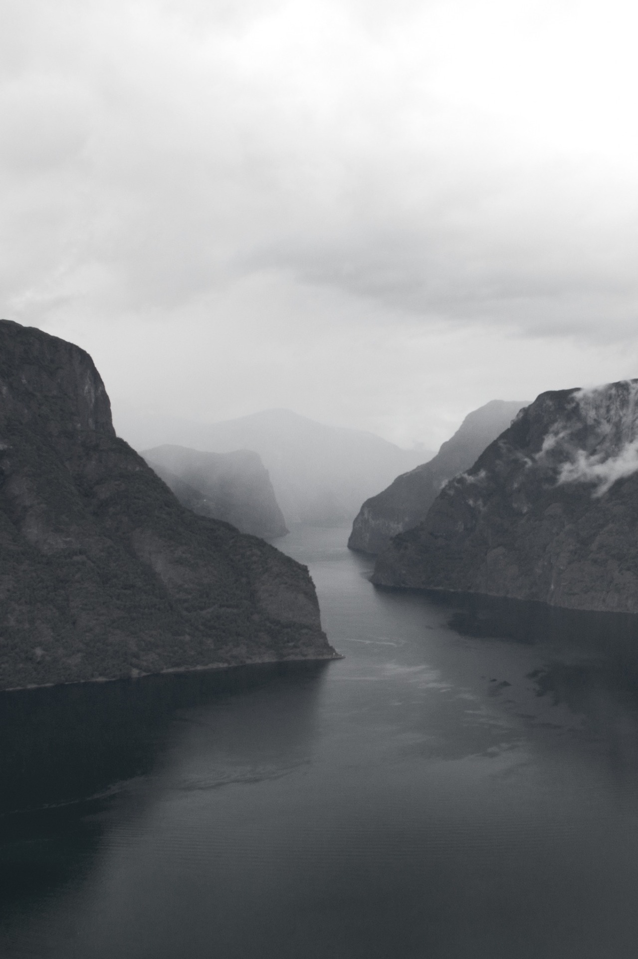 Archillect ID 28609