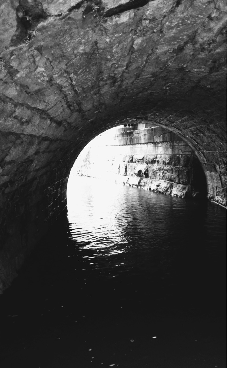 Archillect ID 28681