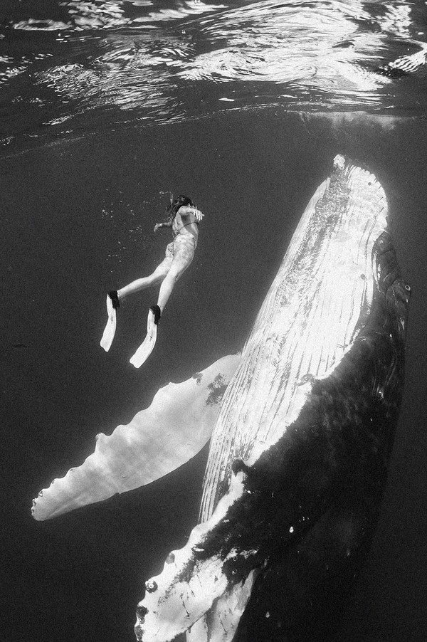 Archillect ID 28700