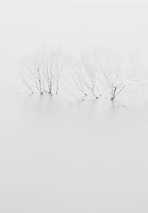 Archillect ID 28704