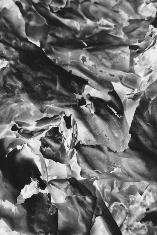 Archillect ID 28729