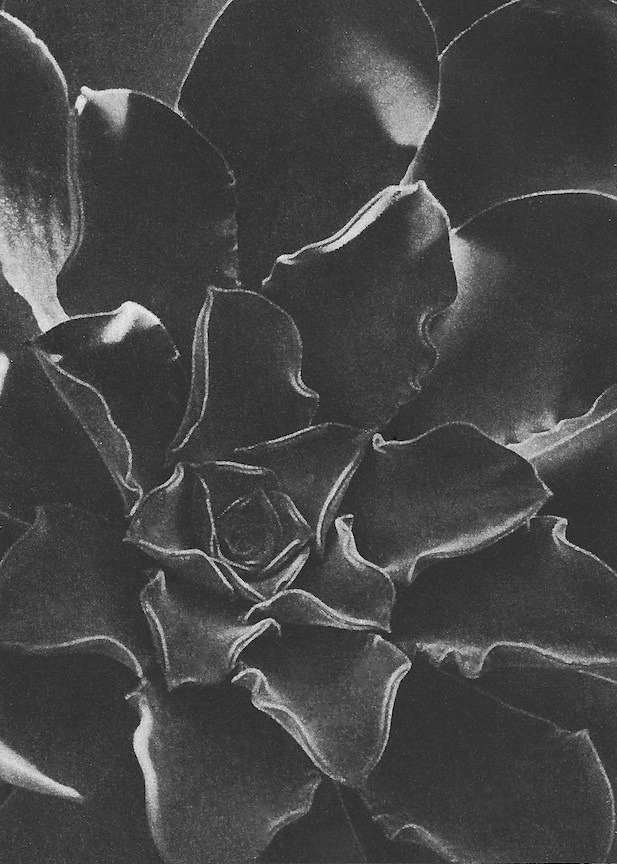 Archillect ID 28782