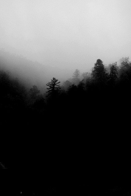 Archillect ID 28796
