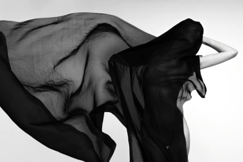Archillect ID 28807