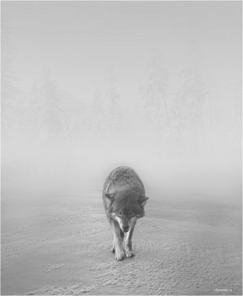 Archillect ID 28831