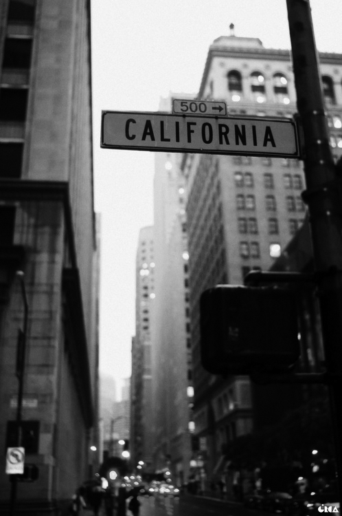 Archillect ID 28837