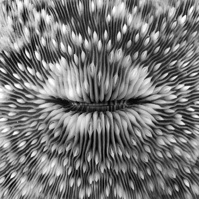 Archillect ID 28947