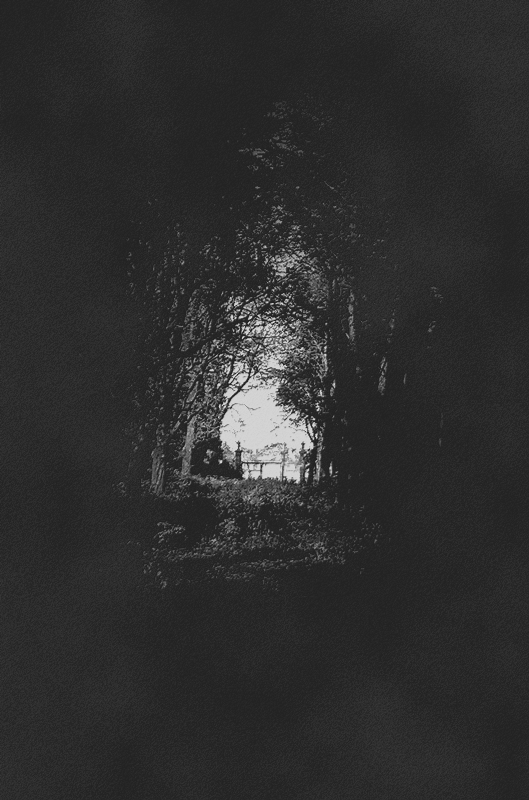 Archillect ID 28971