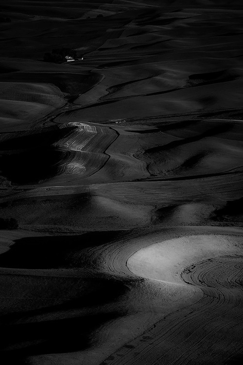 Archillect ID 29010