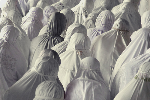 Archillect ID 29053