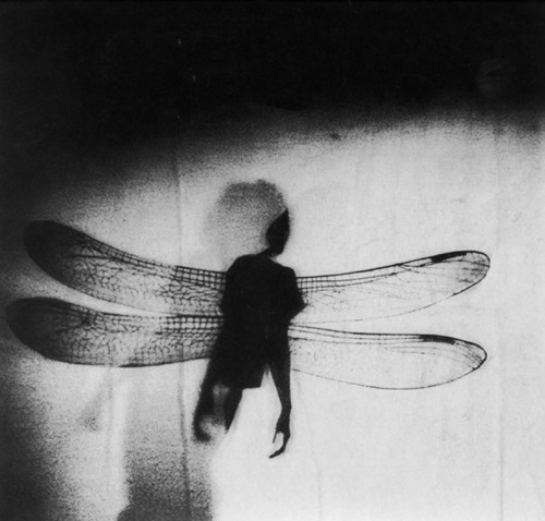 Archillect ID 29158