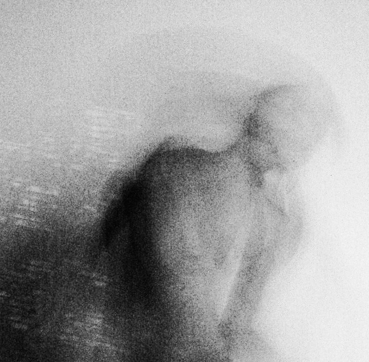 Archillect ID 29167