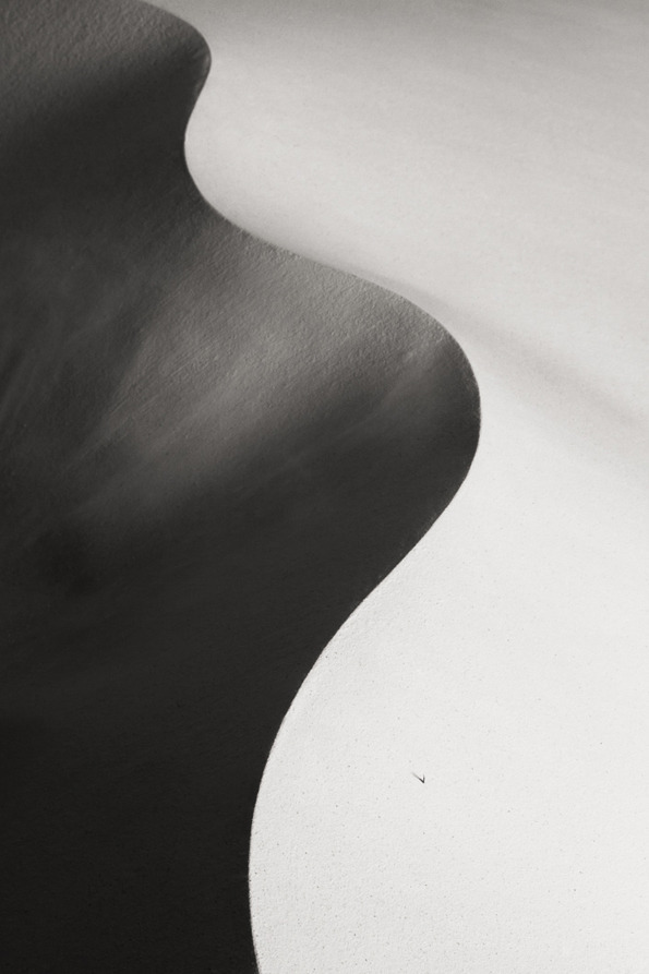 Archillect ID 29168