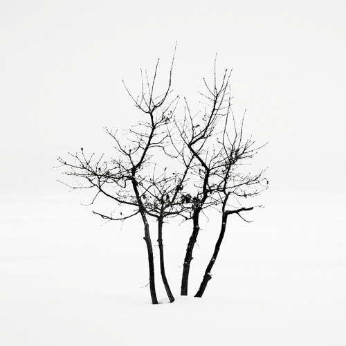 Archillect ID 29178