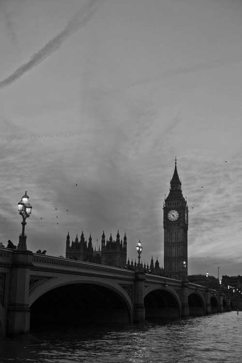 Archillect ID 29223