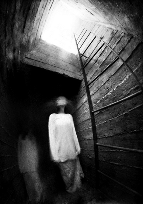 Archillect ID 29318