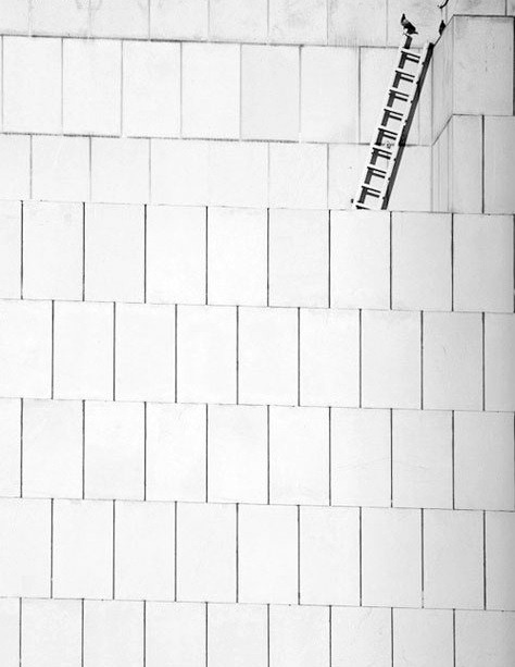 Archillect ID 29401