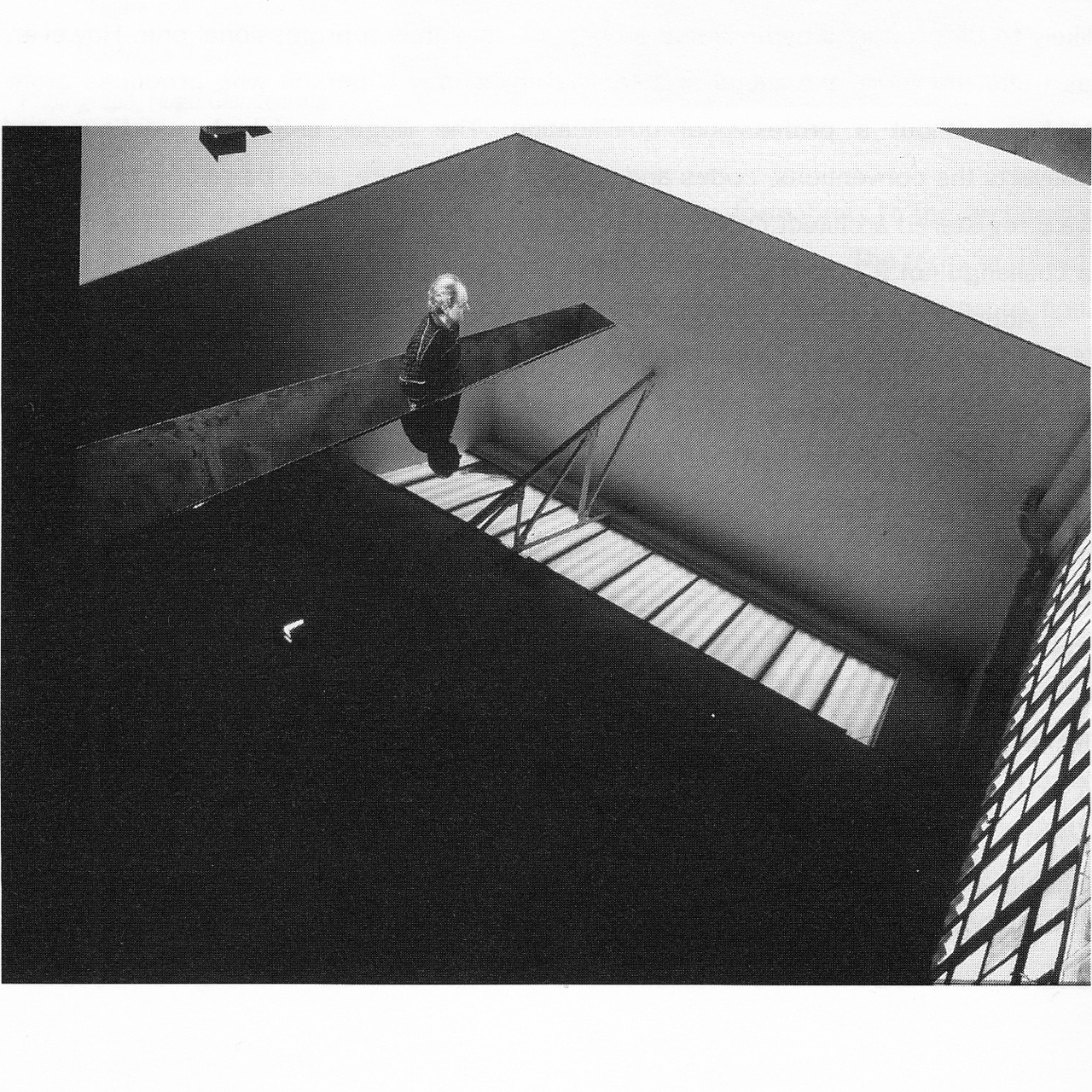 Archillect ID 29406