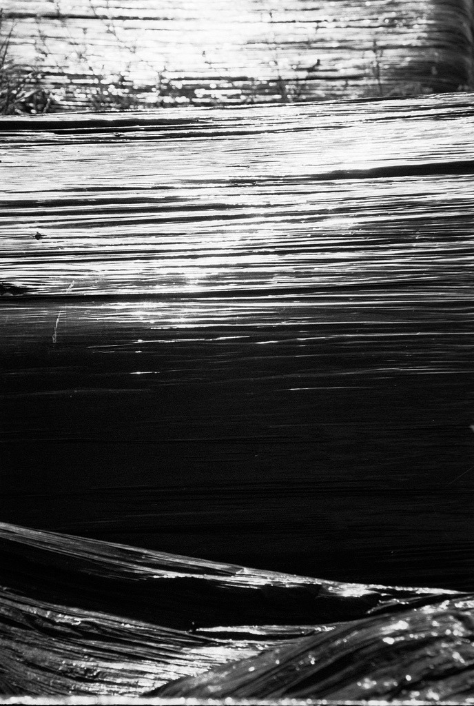 Archillect ID 29417