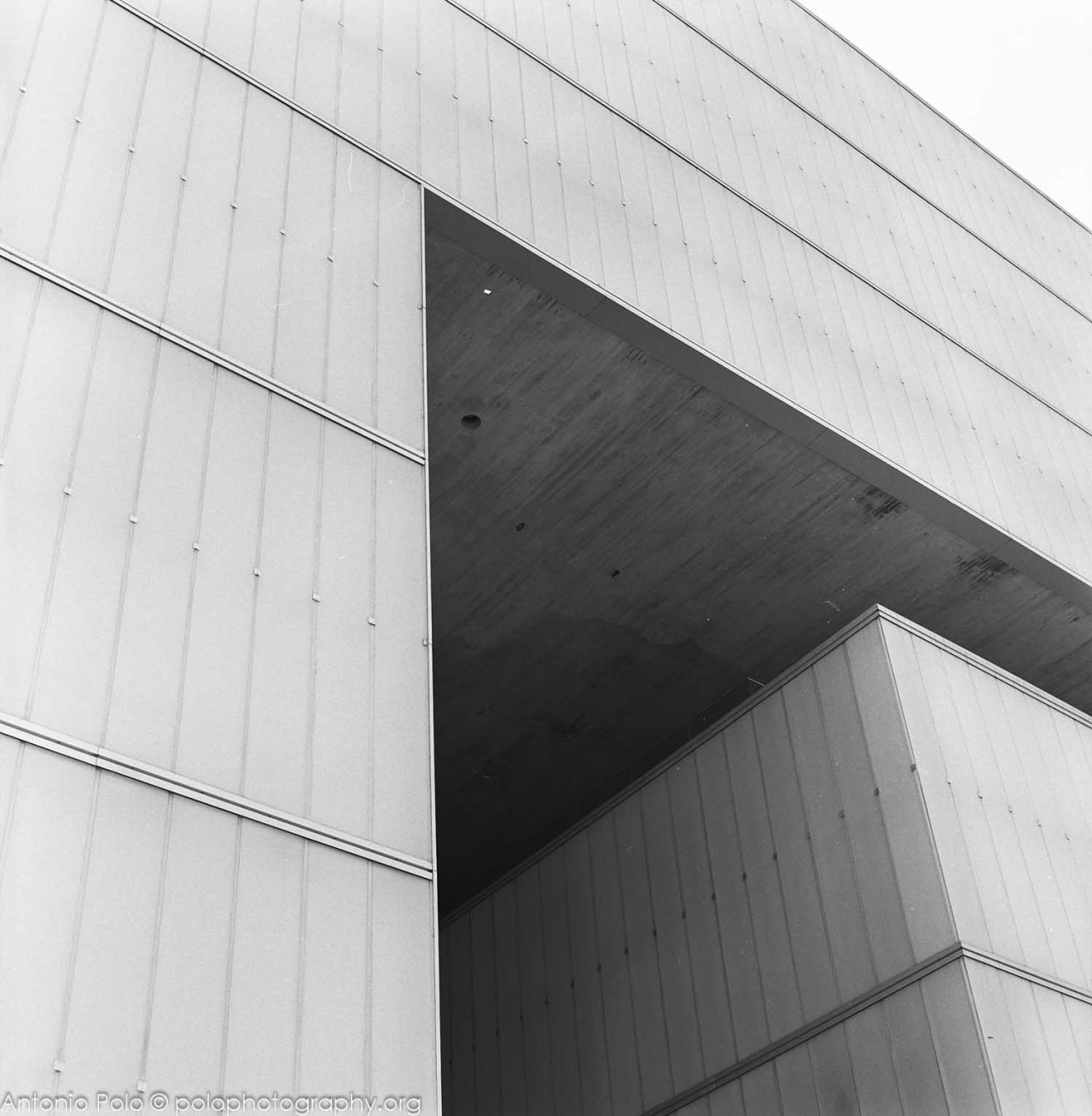 Archillect ID 29420