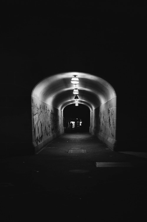 Archillect ID 29497