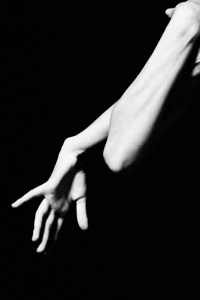 Archillect ID 29501