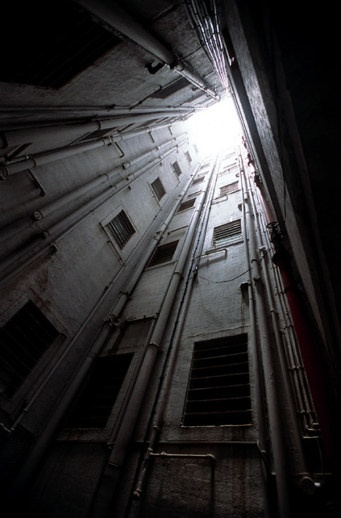 Archillect ID 29639