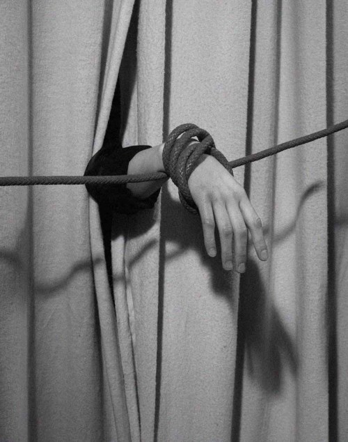 Archillect ID 29673