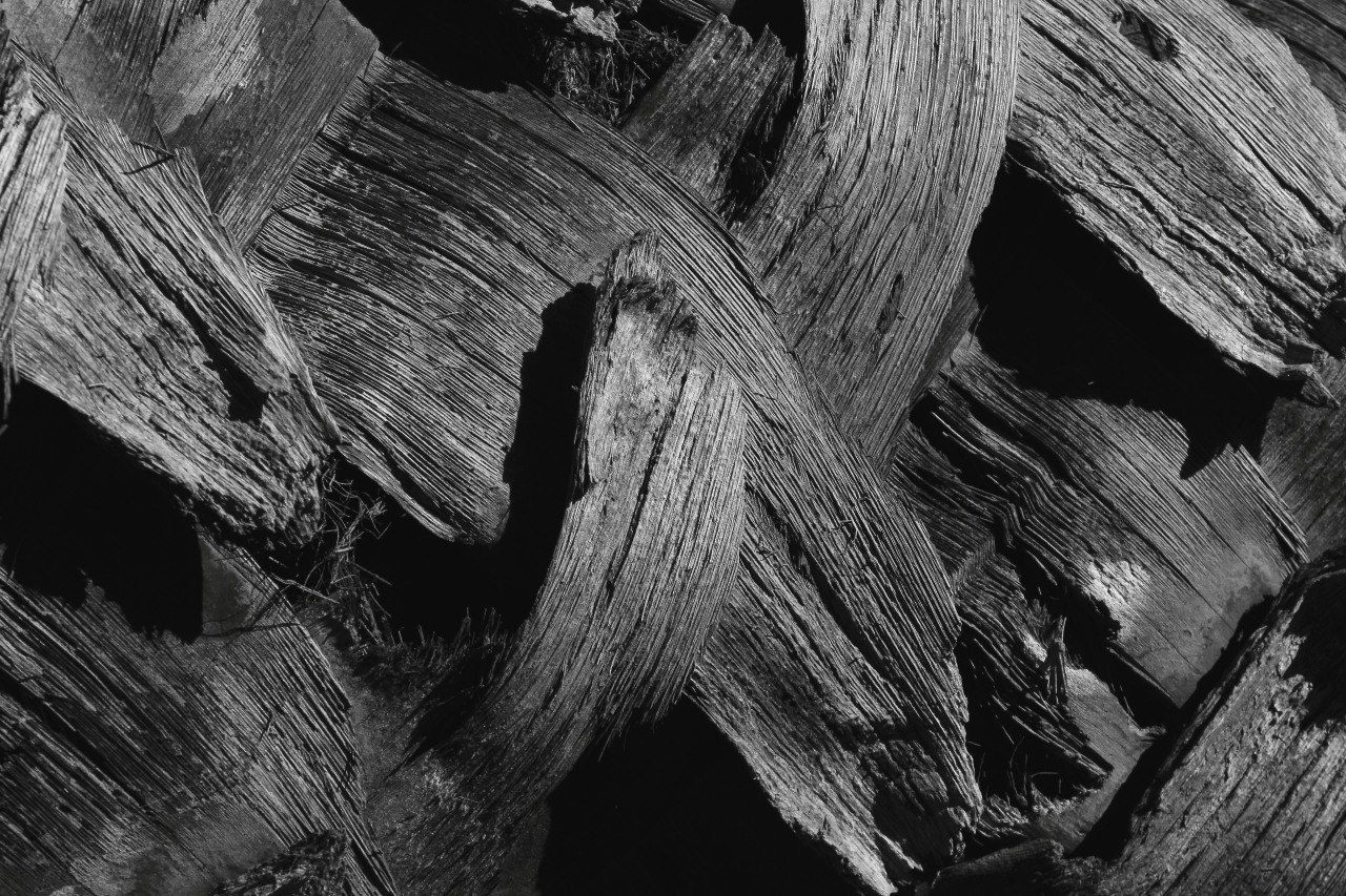 Archillect ID 29767