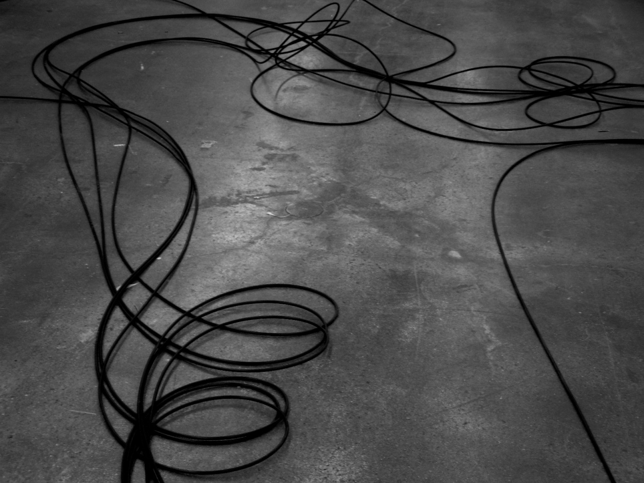Archillect ID 29772