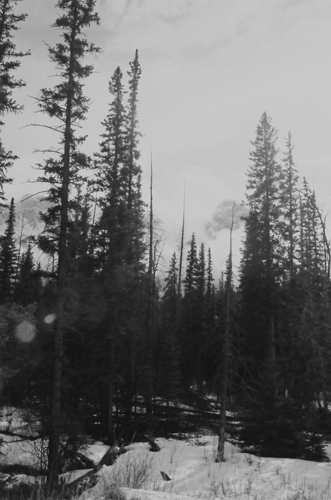 Archillect ID 29805
