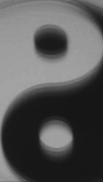 Archillect ID 29823