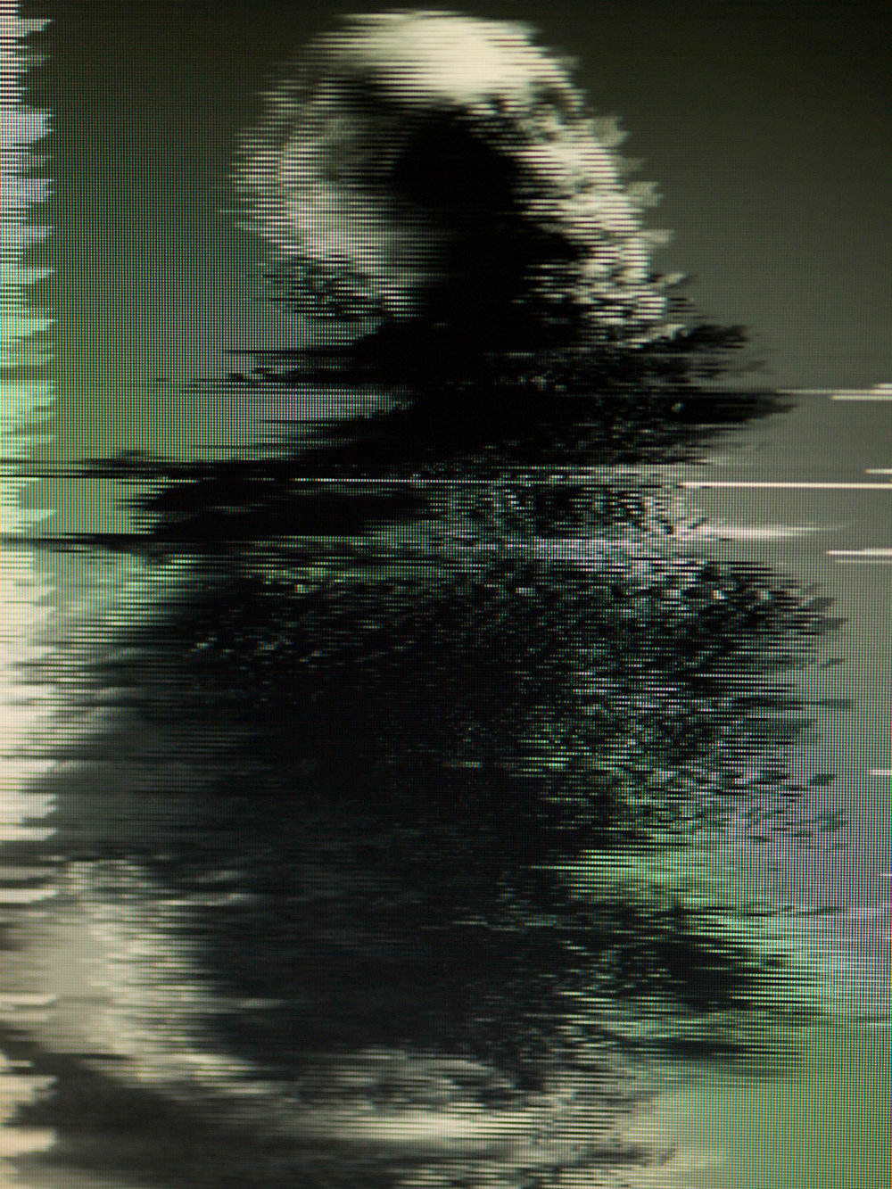 Archillect ID 29852