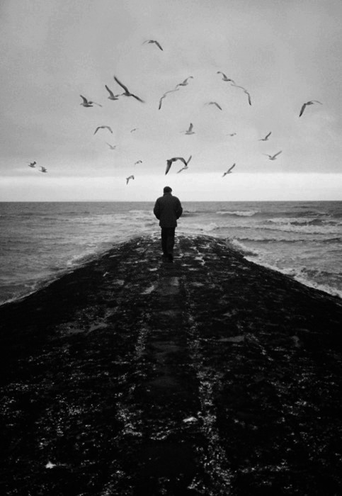 Archillect ID 29913
